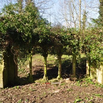 The overgrown ruins of an abbey that were surveyed as part of a project which included historic buildings survey and earthwork survey. © Copyright ARS Ltd 2018