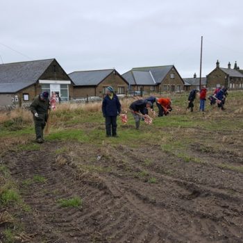 Enthusiastic volunteers beginning fieldwalking.