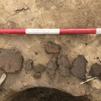 More sherds of decorated pottery.