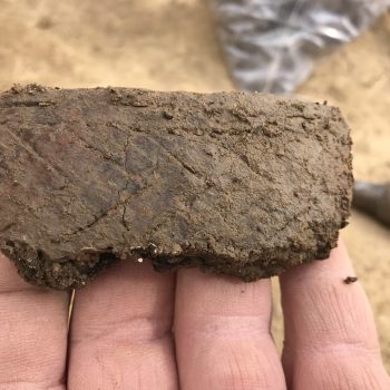 A sherd of decorated pottery.