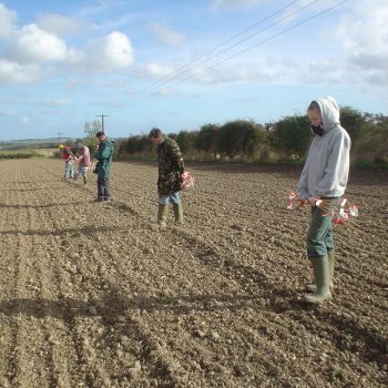 Fieldwalking.