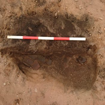 This waste pit produced sherds of Carinated Bowl.