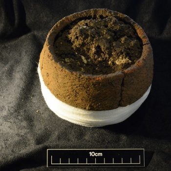 This small urn containing a cremation was found upturned within a larger urn (scale = 10cm). © Copyright ARS Ltd