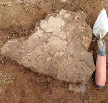 Grooved Ware ready for lifting