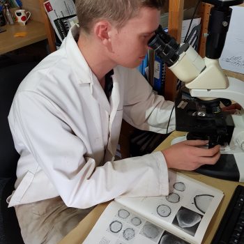 Analysing charcoal deposits © Copyright ARS Ltd