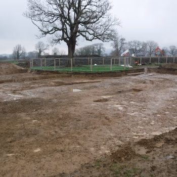 The site with the ring ditch visible below the tree.