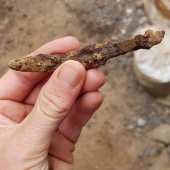 The iron blade of an Anglo-Saxon knife recovered during environmental sample processing.