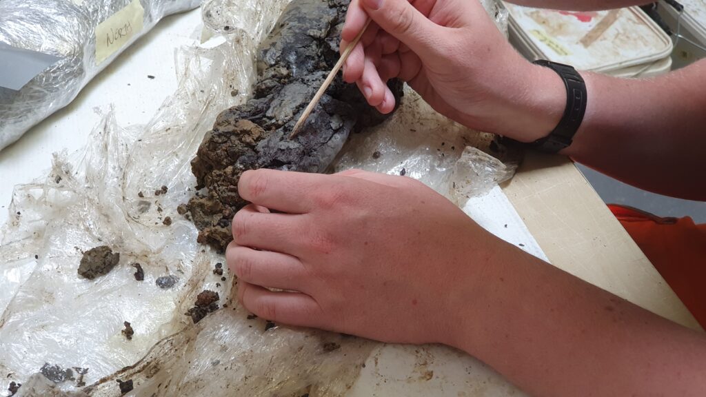 Cleaning the medieval wooden coffin panel © Copyright ARS Ltd 2021