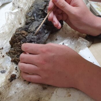 Cleaning the medieval wooden coffin panel © Copyright ARS Ltd 2021